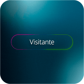 VISITANTE-INGRESSO